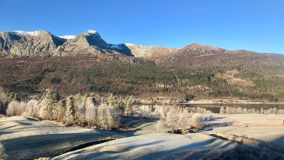 Forvinter på golfbanen🍂